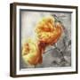 Dan Le Jardin-Tina Lavoie-Framed Giclee Print