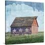 Stretched Canvas