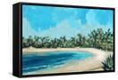 Canvas Black