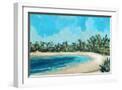 White Frame