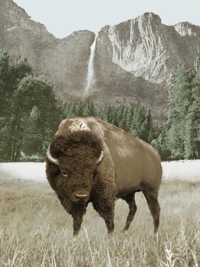 Art Print, , large