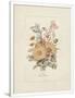 Gramercy White