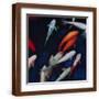 Brown Frame