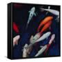 Canvas Black