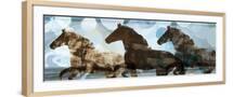 Brown Frame