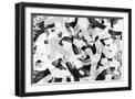 Black Frame