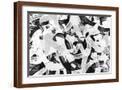 Brown Frame