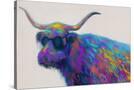 Stretched Canvas