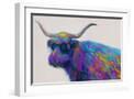 White Frame