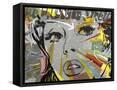 Framed Canvas