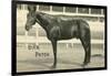 Dan Patch-null-Framed Premium Giclee Print