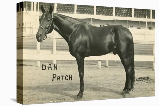 Dan Patch-null-Stretched Canvas