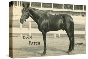 Dan Patch-null-Stretched Canvas