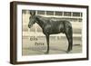 Dan Patch-null-Framed Art Print