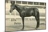 Dan Patch-null-Mounted Art Print