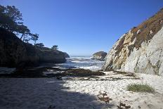 Point Lobos State Reserve, California-Dan Schreiber-Photographic Print