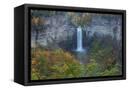 Canvas Black
