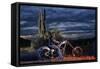 Dan Stewart on Chopper Bike, Scottsdale, Arizona, Usa Mr-Christian Heeb-Framed Stretched Canvas