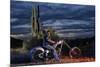Dan Stewart on Chopper Bike, Scottsdale, Arizona, Usa Mr-Christian Heeb-Mounted Photographic Print