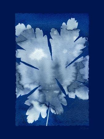 Cyanotype Leaf