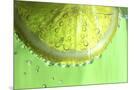 Wood Mount