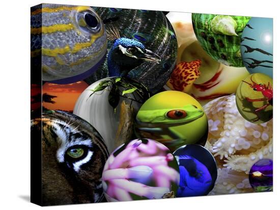Stretched Canvas Print, , large
