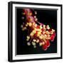 Black Frame