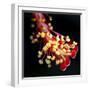 White Frame