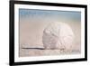 Dana Point, California - Sand Dollar and Beach-Lantern Press-Framed Art Print