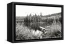 Canvas Black