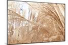 Wood Mount