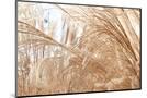 Wood Mount