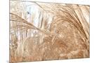 Wood Mount