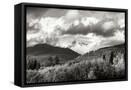 Canvas Black