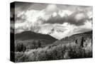 Stretched Canvas
