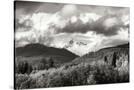 Stretched Canvas
