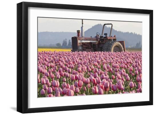 Premium Photographic Print, , large