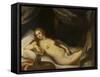 Danaë and the Shower of Gold-Italian School-Framed Stretched Canvas