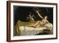 Brown Frame