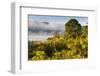 Danau Batur-Christoph Mohr-Framed Photographic Print