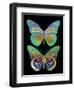 Danaus Plexippus Psychedelicus I-Tina Lavoie-Framed Giclee Print