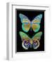 Danaus Plexippus Psychedelicus I-Tina Lavoie-Framed Giclee Print