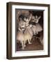 Dance Foyer at Opera (Paris)-Edgar Degas-Framed Art Print