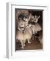 Dance Foyer at Opera (Paris)-Edgar Degas-Framed Art Print