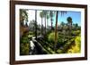 Dance Gardens, Real Alcazar, UNESCO World Heritage Site, Seville, Andalucia, Spain-Carlo Morucchio-Framed Photographic Print