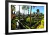 Dance Gardens, Real Alcazar, UNESCO World Heritage Site, Seville, Andalucia, Spain-Carlo Morucchio-Framed Photographic Print