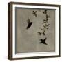 Dance in Flight I-Chris Donovan-Framed Art Print