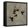 Dance in Flight II-Chris Donovan-Framed Stretched Canvas