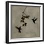 Dance in Flight II-Chris Donovan-Framed Art Print