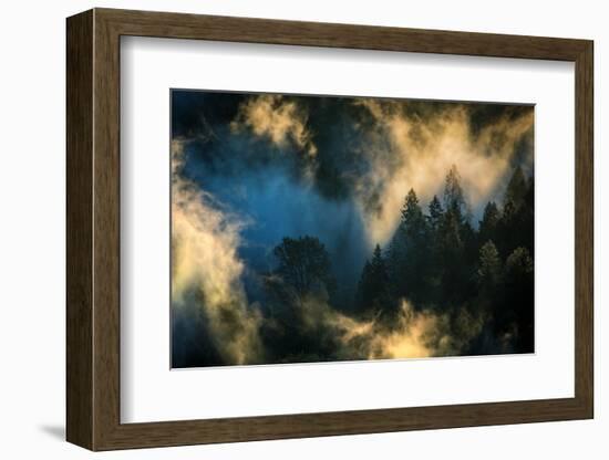 Dance of Fog and Light, Northern California-Vincent James-Framed Photographic Print